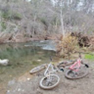 Meet your Posher, Micah